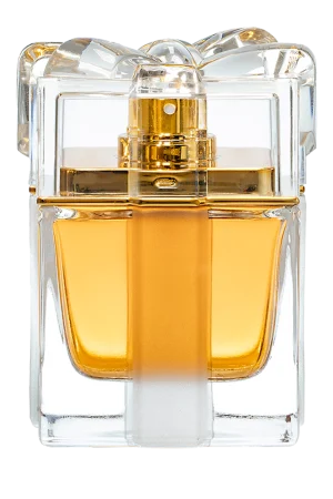 awish-png1-6445b760431ffff44e16607433055669-1024-1024