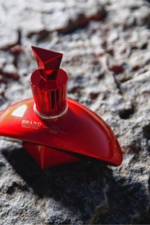 perfume-marina-de-bourbon-brand-collection-n0-289-feminino-64497cbddeef6-large